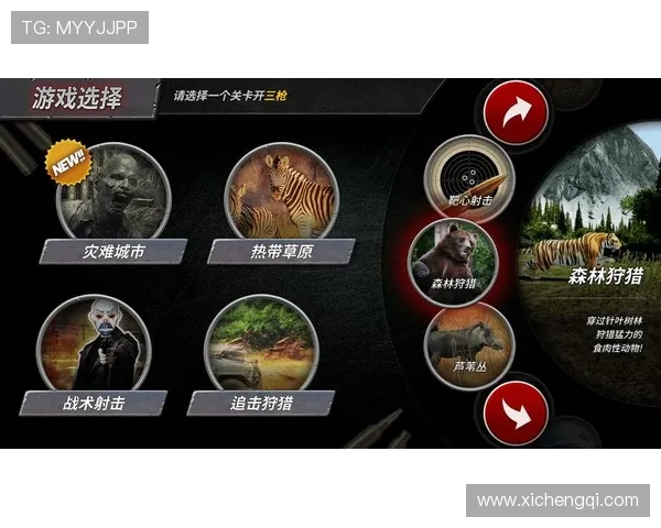 开云体育真人版全站登录操作指南，新手也能快速上手体验真实体育竞技魅力