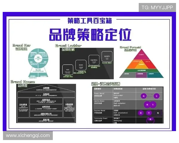 深入分析PG问鼎娱乐的品牌战略，提升用户粘性与市场影响力的关键策略揭秘